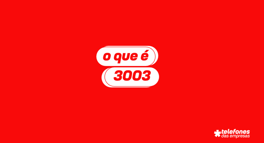 O que é 3003