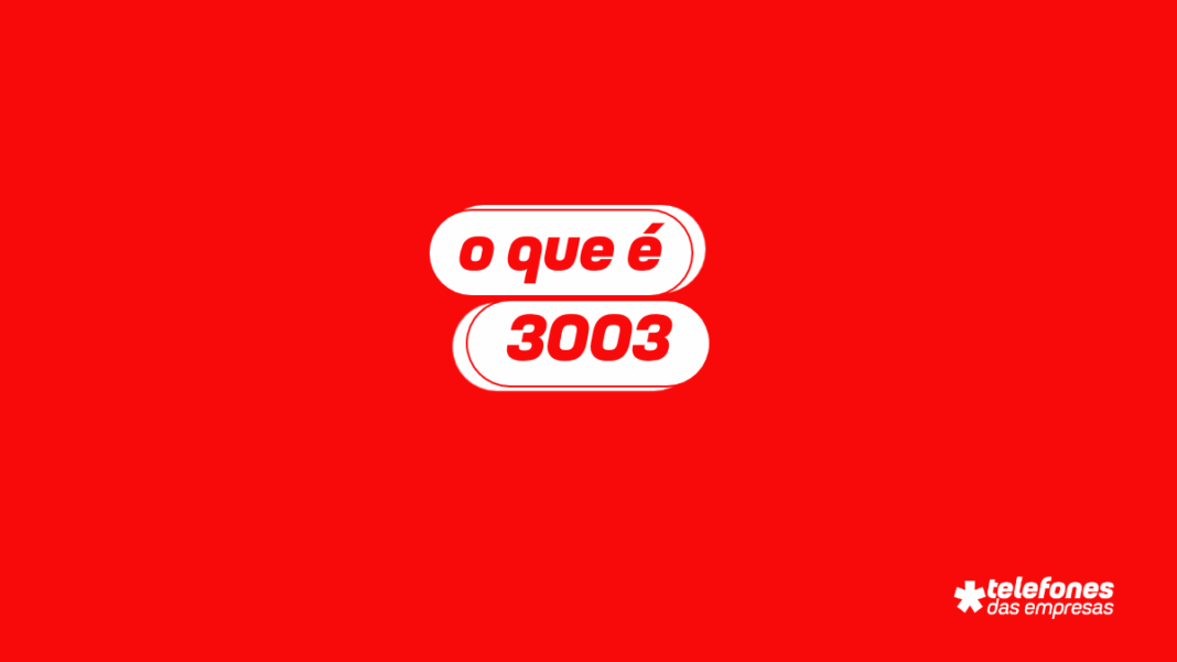 O que é 3003