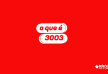 O que é 3003
